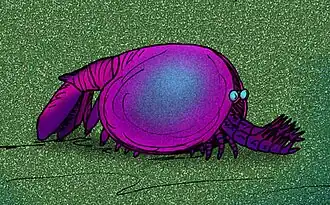 Occacaris, um artrópode.