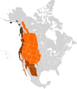 Distribuição geográfica de 7 subespécies. &nbsp;&nbsp;O. h. sitkensis &nbsp;&nbsp;O. h. columbianus &nbsp;&nbsp;O. h. californicus &nbsp;&nbsp;O. h. fuliginatus &nbsp;&nbsp;O. h. peninsulae &nbsp;&nbsp;O. h. eremicus &nbsp;&nbsp;O. h. hemionus