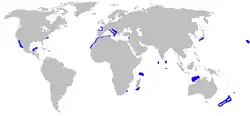 Distribuição do Odontaspis ferox