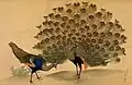 Pavão-verde pintado por Maruyama Ōkyo, 1781.