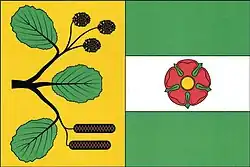 Bandeira de Olšovice