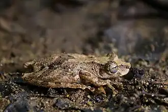Um indivíduo em Nova Iguaçu, no Rio de Janeiro, Brasil.