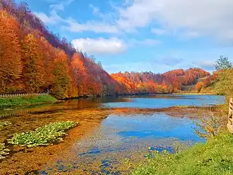 Lago Olu, no distrito de Gölköy