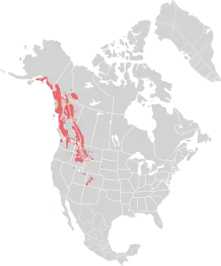 Território da cabra-das-rochosas na América do Norte