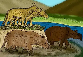 Reconstrução de vários oreodontes do Mioceno