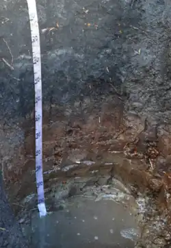 Organossolo Tiomórfico (Beutler, 2016)