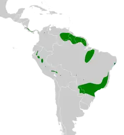 Distribuição geográfica da araponga-do-horto
