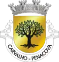 Brasão de armas de Carvalho