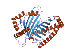 Estrutura molecular da proteína
