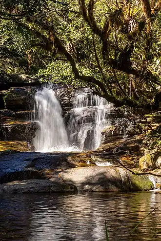 Rio Bonito em seção dentro do Parque