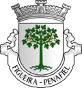 Brasão de armas de Figueira