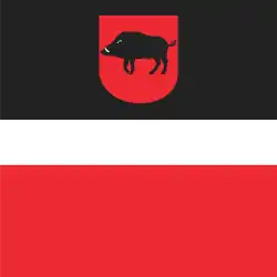 Bandeira de Łęczna