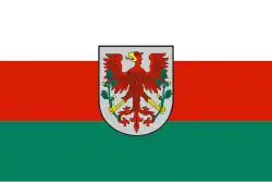 Bandeira de Choszczno