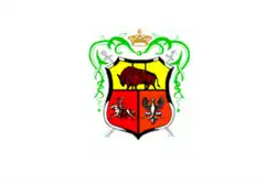 Bandeira de Drohiczyn