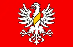 Bandeira de Wiżajny