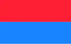 Bandeira de Lubartów