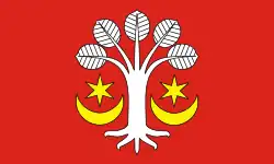 Bandeira de Bukowiec