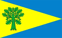 Bandeira de Dębowiec