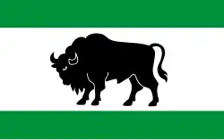 Bandeira de Hajnówka