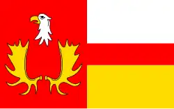 Bandeira de Izabelin