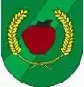Brasão de armas de Kowiesy