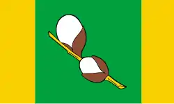 Bandeira de Wierzbinek