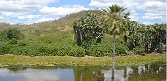 Paisagem de Ibaretama