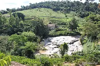 Paisagem rural em Santa Rita do Itueto, na margem da estrada AMG-2320.