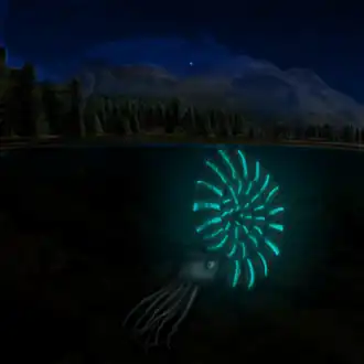 reconstrução de um Dactylioceras.