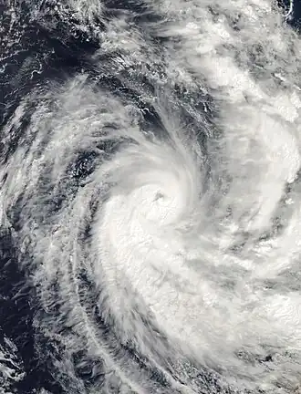 imagem ilustrativa de artigo Ciclone Pancho