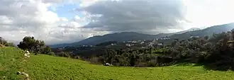 Panorama dos olivais encontrados no lugar de Souto Moninho