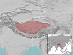 Distribuição territorial do chiru