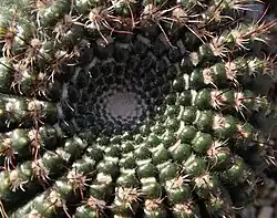 Coroa em uma estampa da Alemanha Ocidental