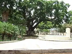 Parque municipal de Turín