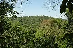 Vegetação do Parque Estadual