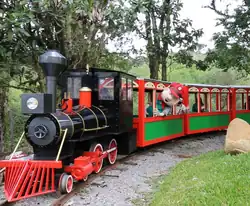 Passeio de trem no Mundo a Vapor