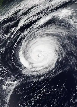 imagem ilustrativa de artigo Furacão Paulette