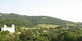 Vue générale de Pavlica