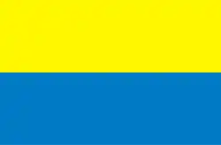 Bandeira de Paços de Borvém