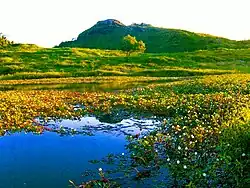 Vista da Pedra do Cordeiro