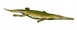 Pelagosaurus, um crocodiliano