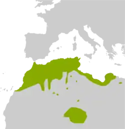 Sua distribuição está compreendida pela área em verde.