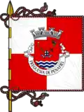 Bandeira de Penafiel