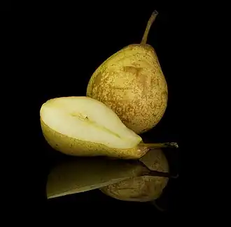 Pera rocha foto pro Rodrigo Tetsuo Argenton, parte do Programa de ilustração