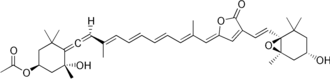 Skeletal formula