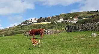 Vista da Fajã da Ovelha