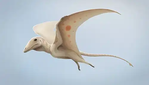 Ilustração em vida do Peteinosaurus zambelli