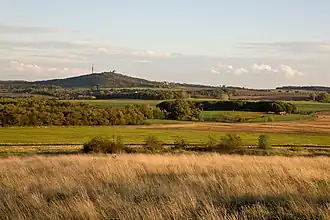 Horizonte de Petersberg