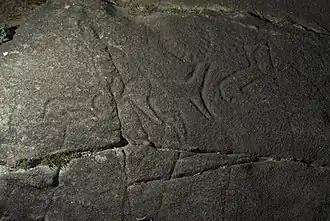 Petróglifos galaico-portugueses: cervídeos