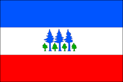 Bandeira de Petrovice